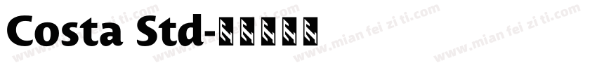 Costa Std字体转换